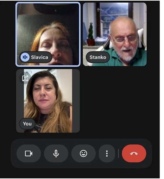 Webinar participants